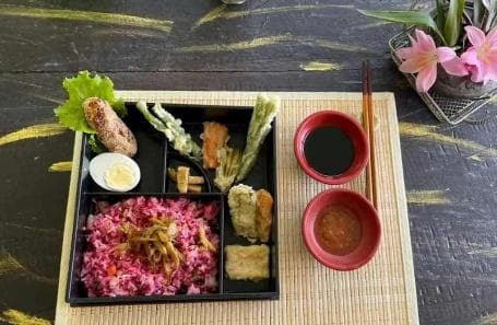 Authentic Ayurvedic sattvic meal from Tushita-Nepal brochure